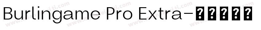 Burlingame Pro Extra字体转换